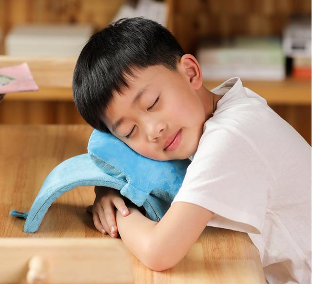 儿童午睡枕的鸡肋你知道多少?枕头真的越贵越好吗?