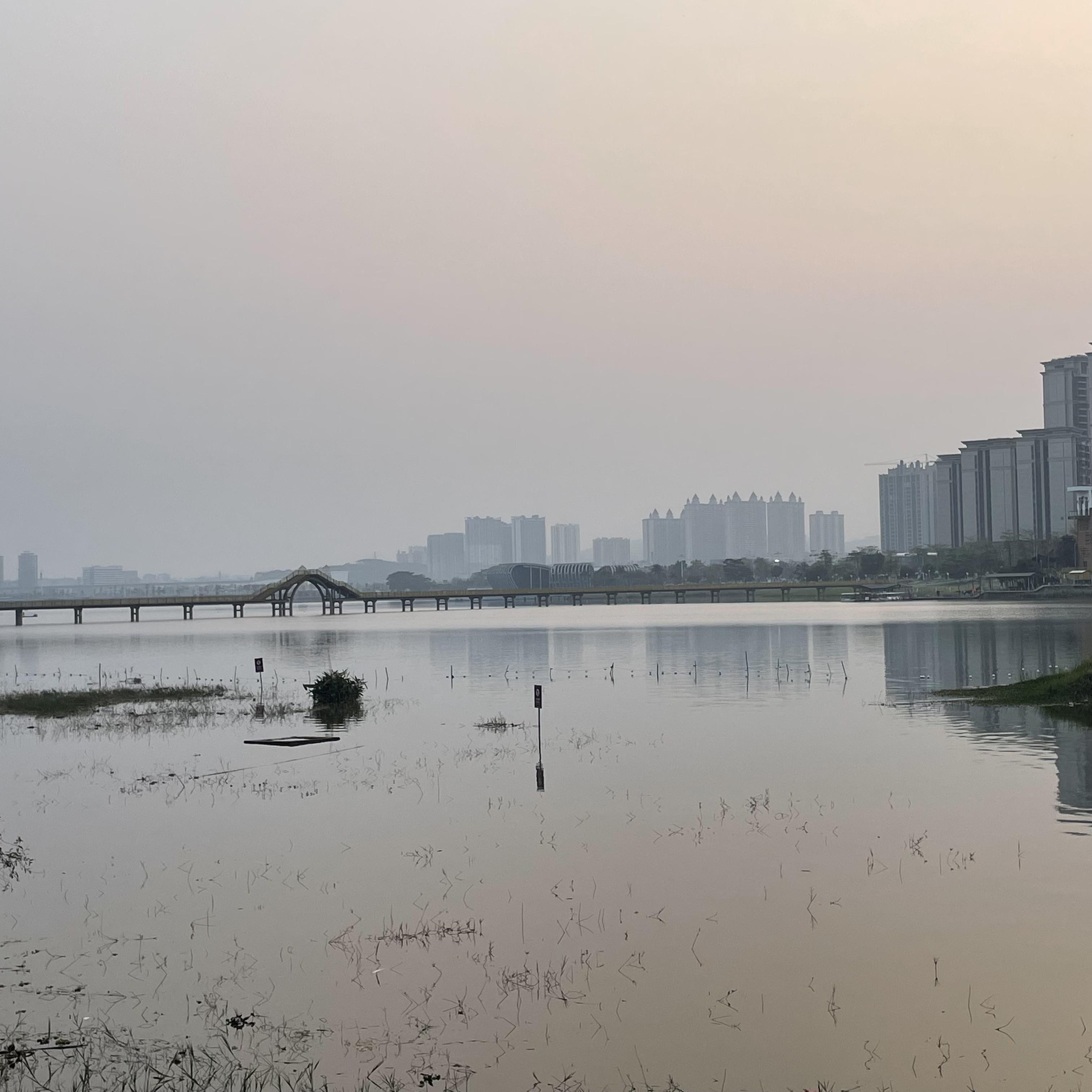 曝光!梧州蒼海國家溼地公園內竟有人無視警示牌非法捕魚?