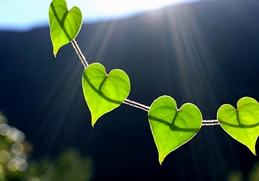 《默写你的名字》爱情里美好的样子?成为最好的自己与你并肩而立