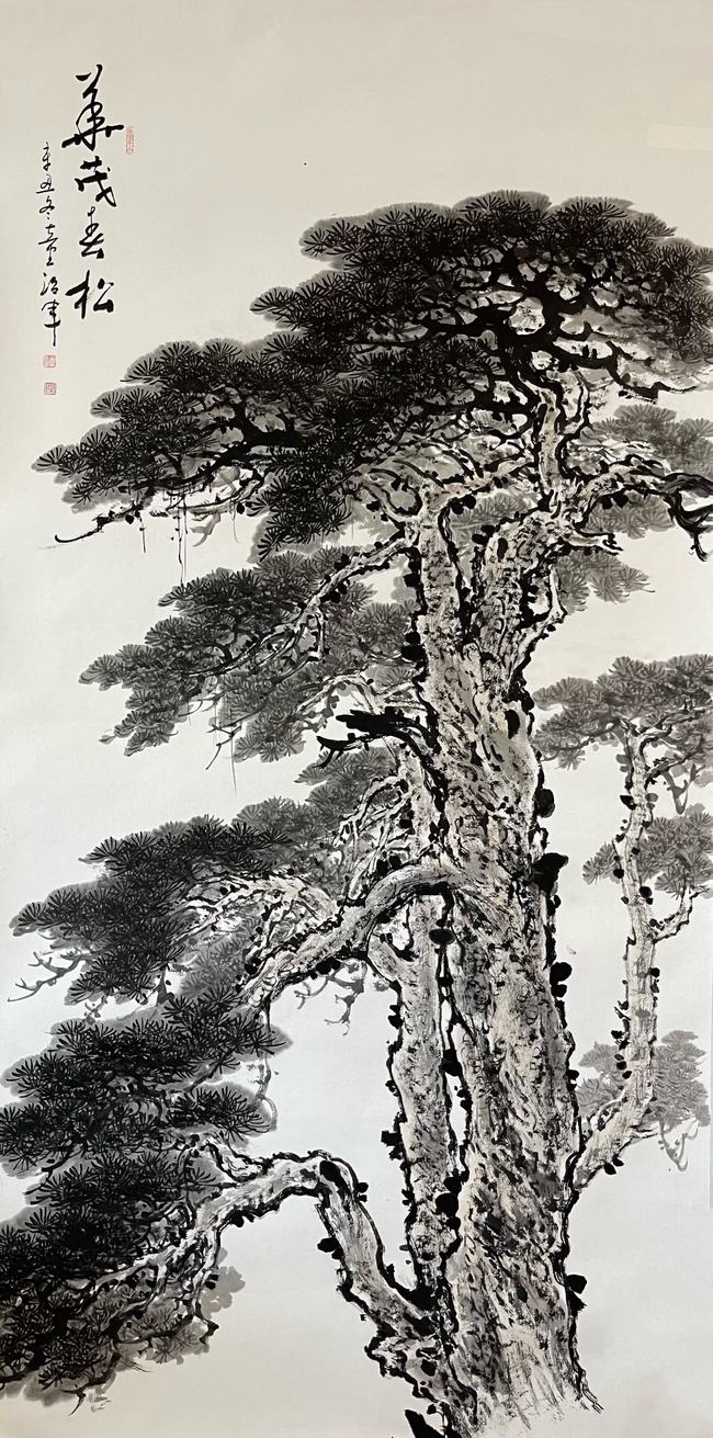 松风墨韵:赏著名画家童治军松画
