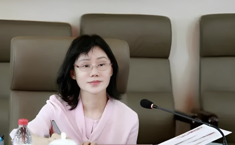 回顾:北京女虎沈志莉,将不法收入全拿来整容,60岁被硬整成20岁