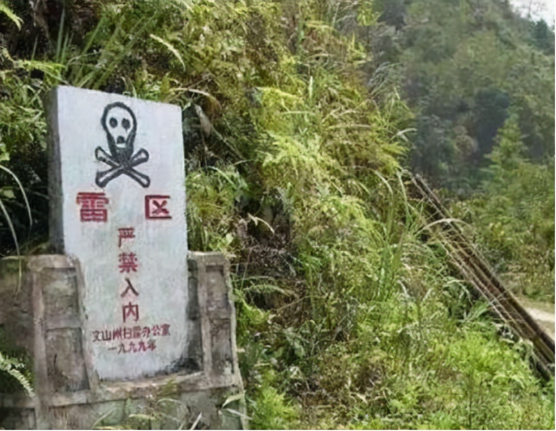 "排雷英雄"杜富国:失去双眼和双手,荣获一等功享受什么待遇?