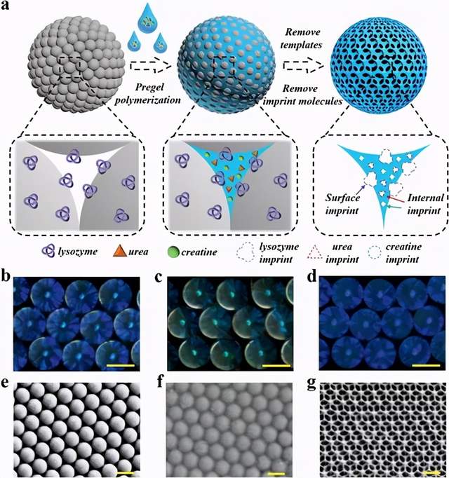 芯片- 热门商品专区