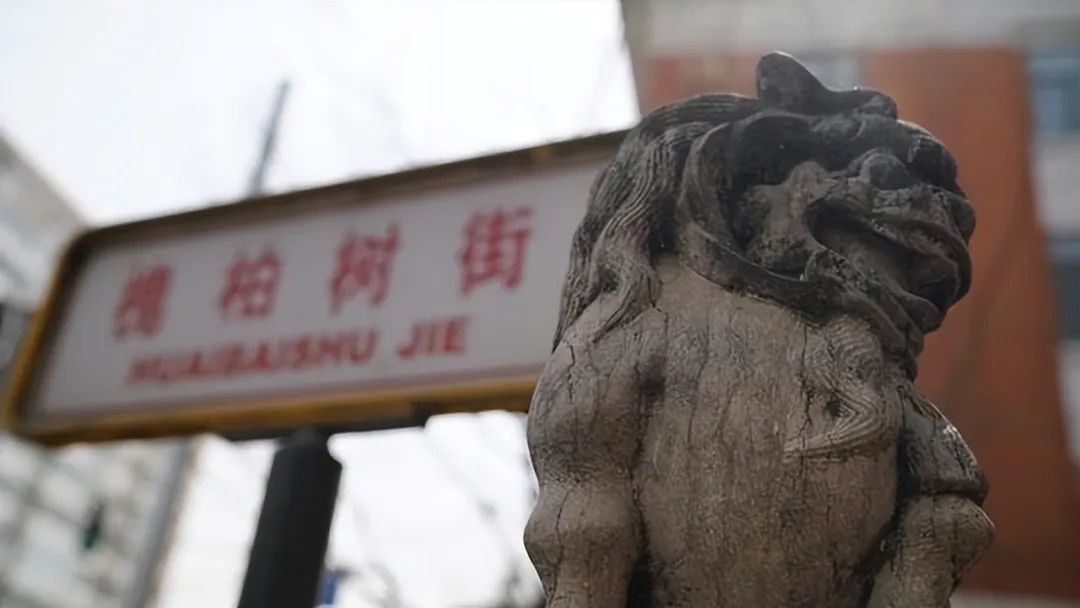 北京有条槐柏树街