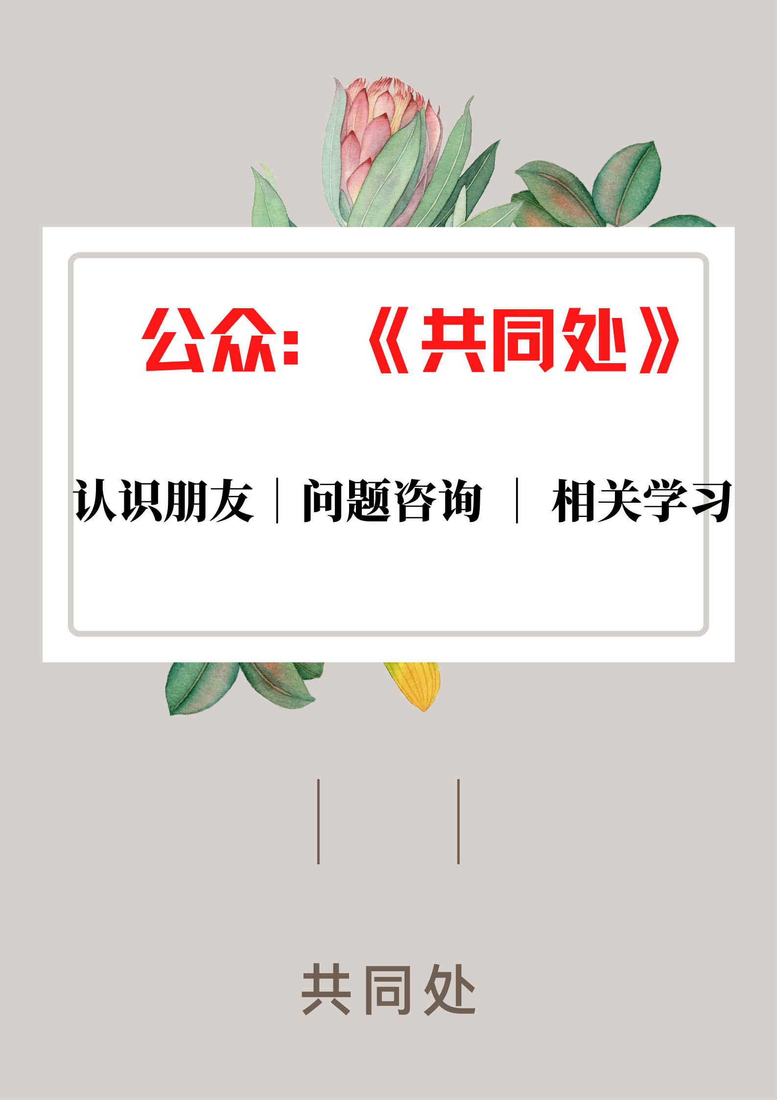 字母圈dom属性在生活中的特殊表现!