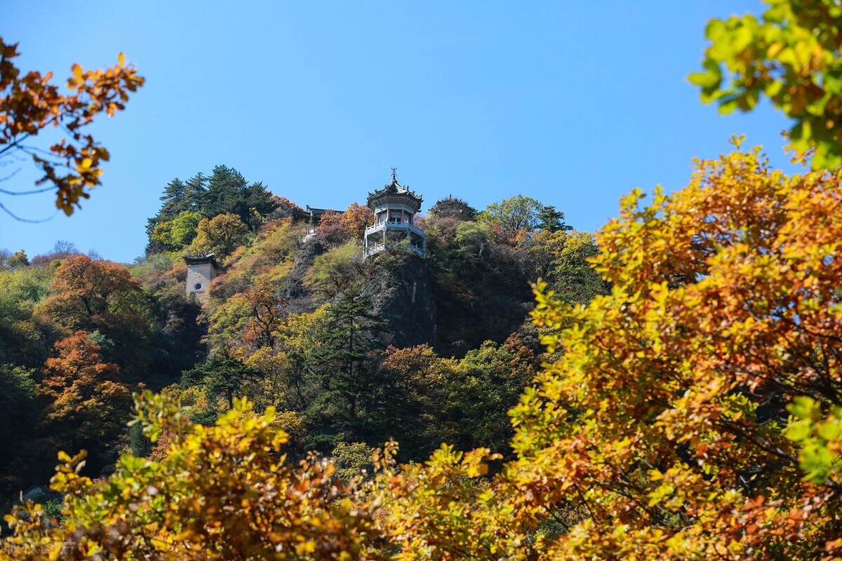 生机勃勃的景象图片