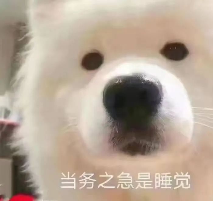 谷爱凌的成功秘诀,这一条大概是每个孩子最容易模仿的了