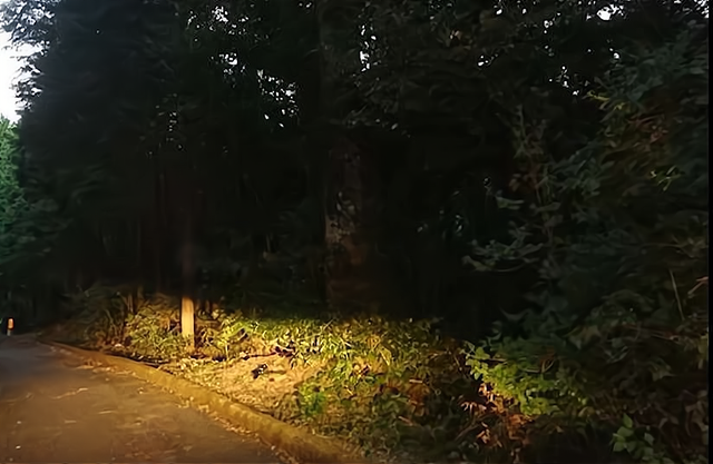 日本最神奇的村落——巨头村