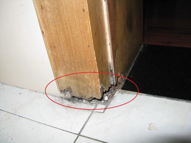 卫生间装木门,若不想门框被泡坏,别再忘切一切骑在过门石耳朵上