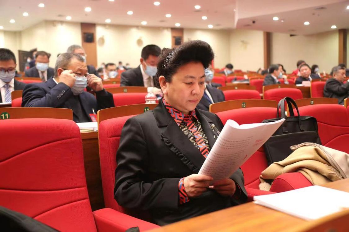 刘蕊委员:加强黑龙江大数据建设 期待在基层提高应用实效