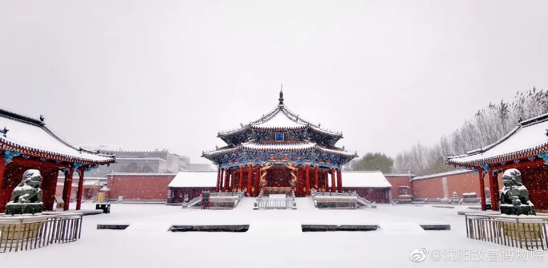 故宫处于封闭状态 但丝毫阻挡不了 内心火热的沈阳人在红墙外 拍雪景