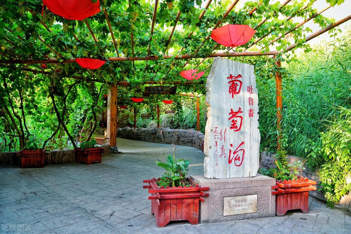 新疆17个5a级景区,大部分夏天进入最佳观赏期,你最想去哪一个?