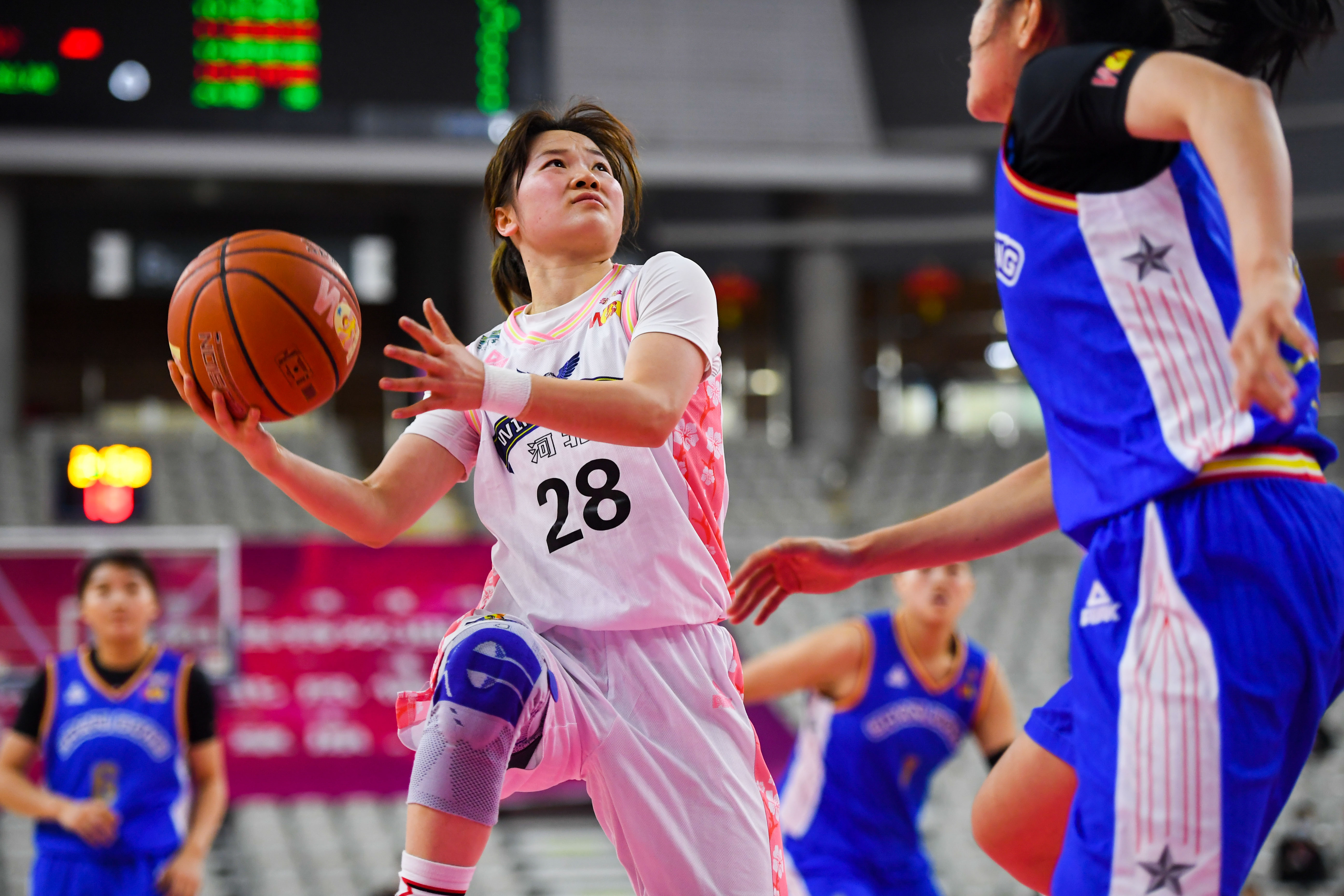 篮球——wcba:山东西王胜河北衡水湖