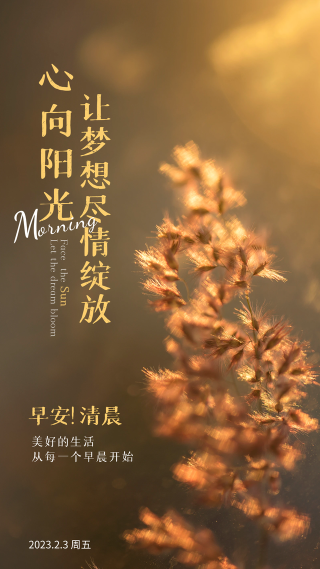 早安心语正能量图片文案:心向阳光,让梦想尽情绽放