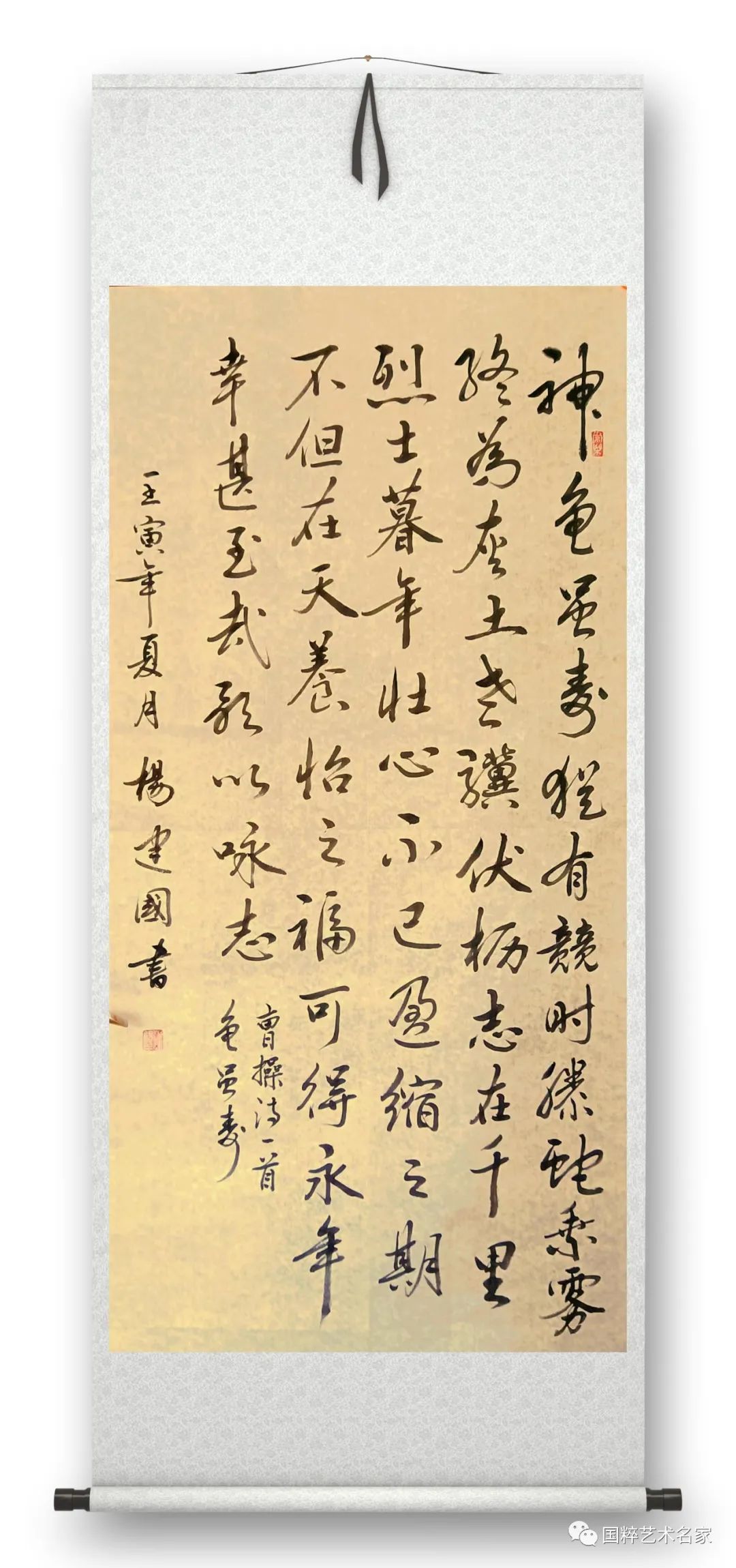 国粹艺术名家——杨建国