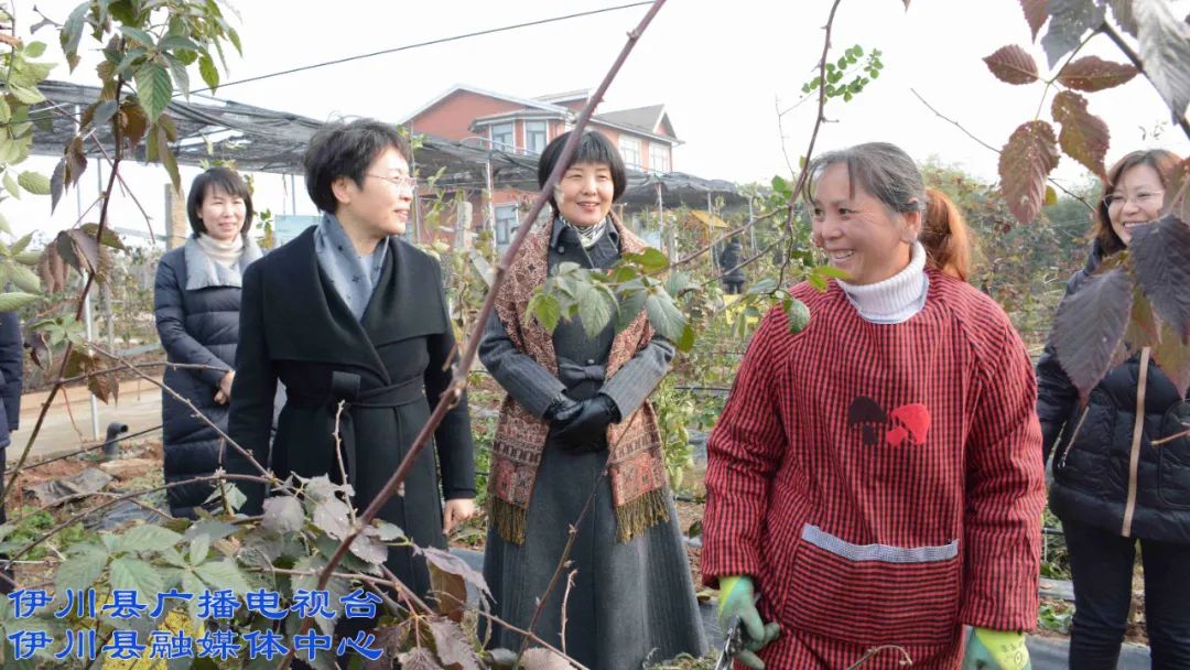 郜秀菊莅伊调研,都去了这些地方