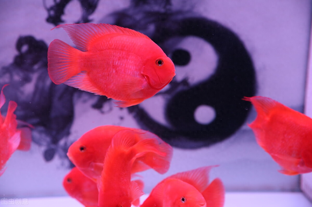 回顾"水哥"王昱珩:18岁考入清华大学,协助警方成功破案,现状如何