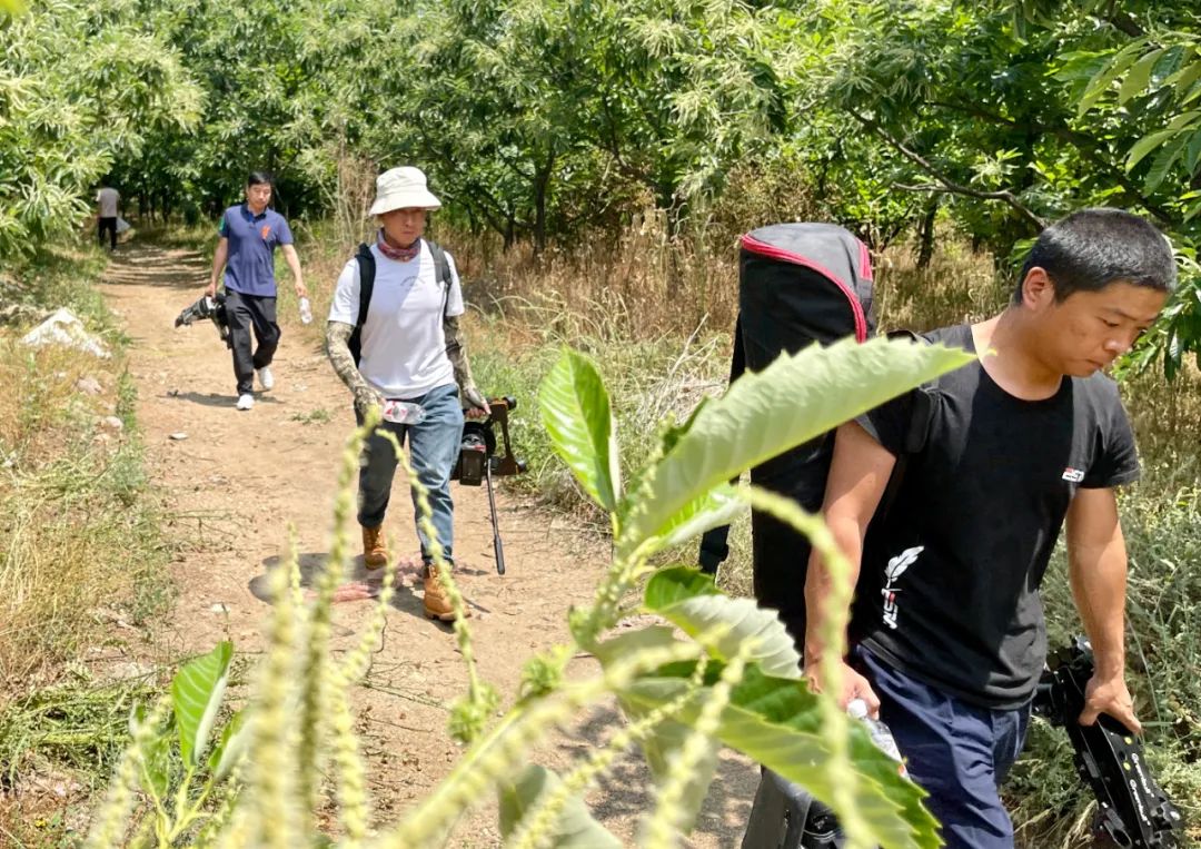 央视《源味中国》栏目来遵,探访特色美味.