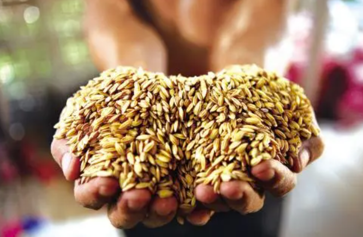 回顾:作为全球较大粮食出口国之一,巴西59%的人吃不饱饭,怎么回事