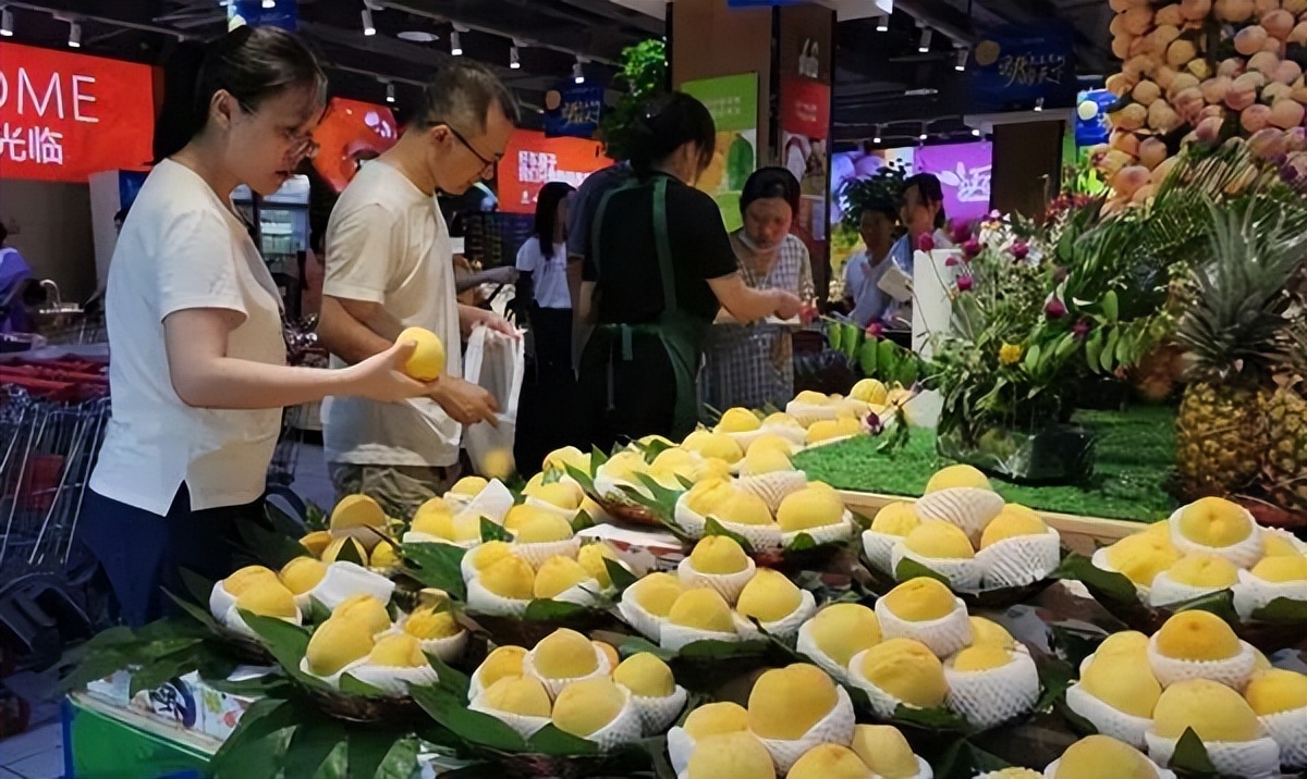 农村发家致富好项目(农村发家致富好项目是什么)