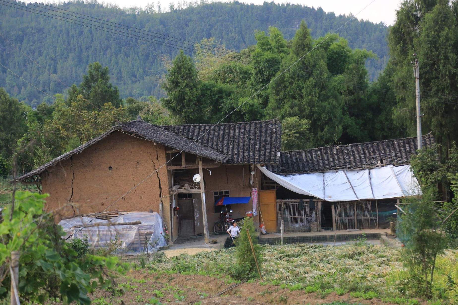 生不下儿子的女人自觉低人一等在农村,生不下儿子的女人会自觉低人一