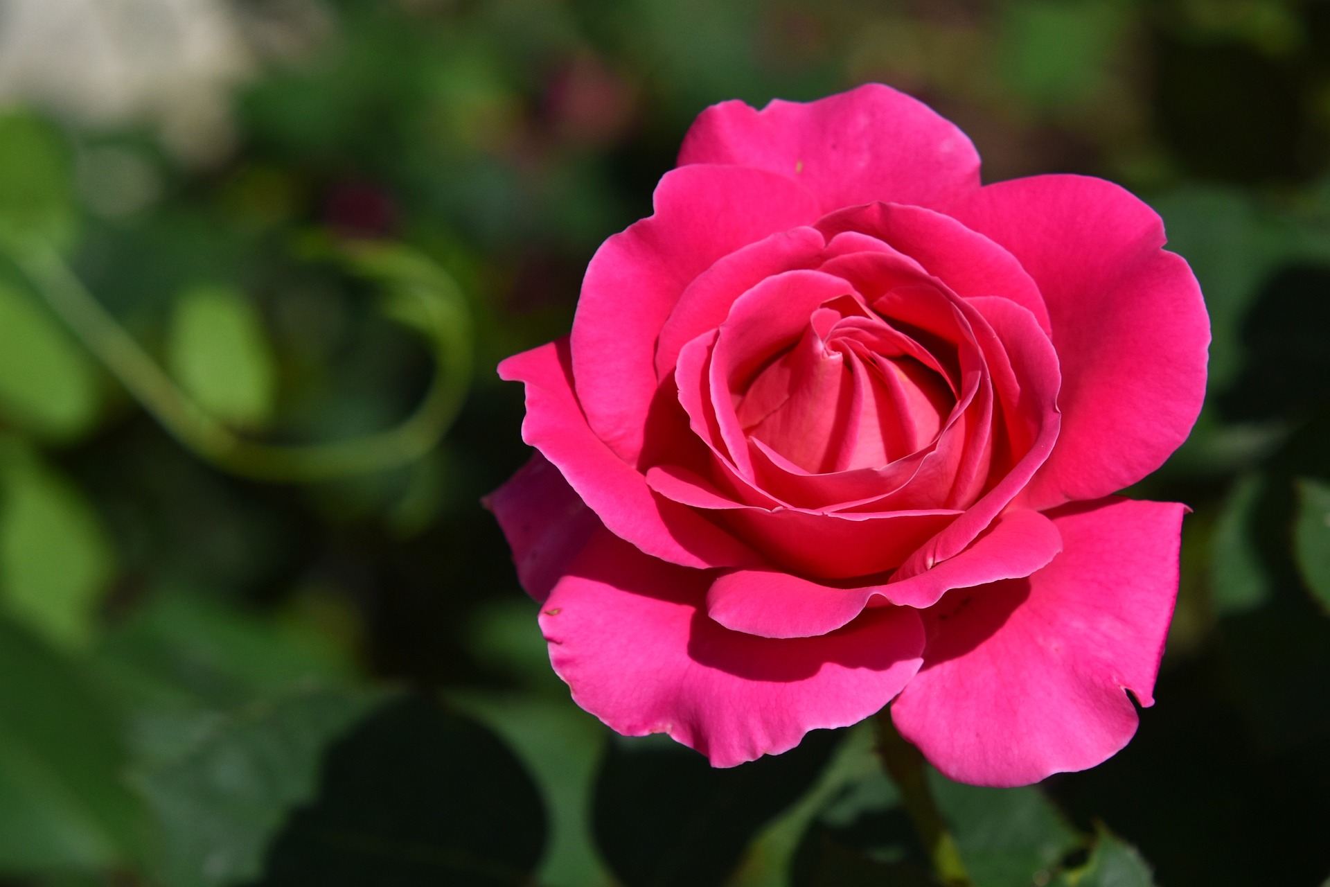 互删微信前,女人出现3种"不适应",多半是想"破镜重圆"