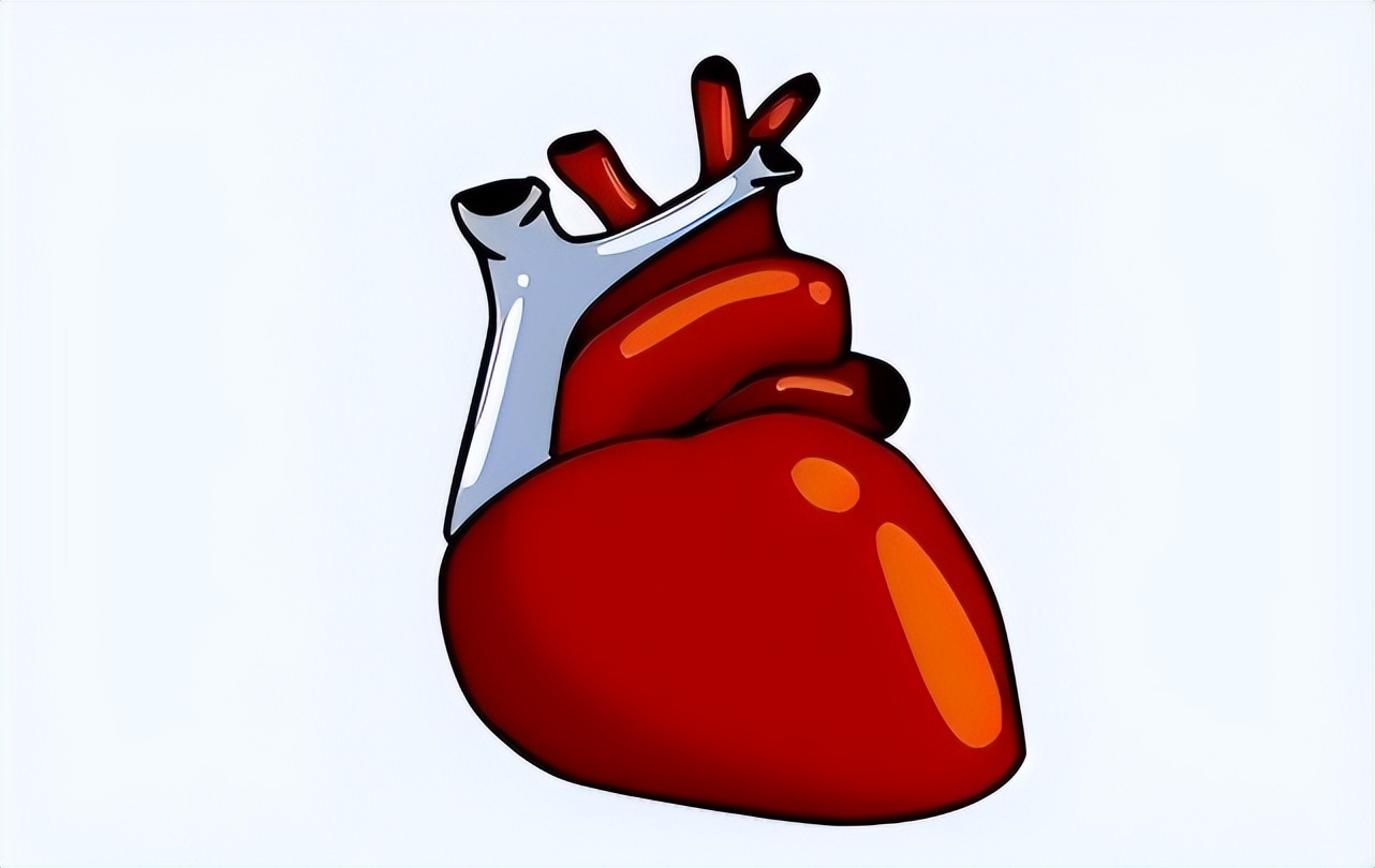 心肌炎患者如何护理身体?掌握这6个方法,有利于缓解病情