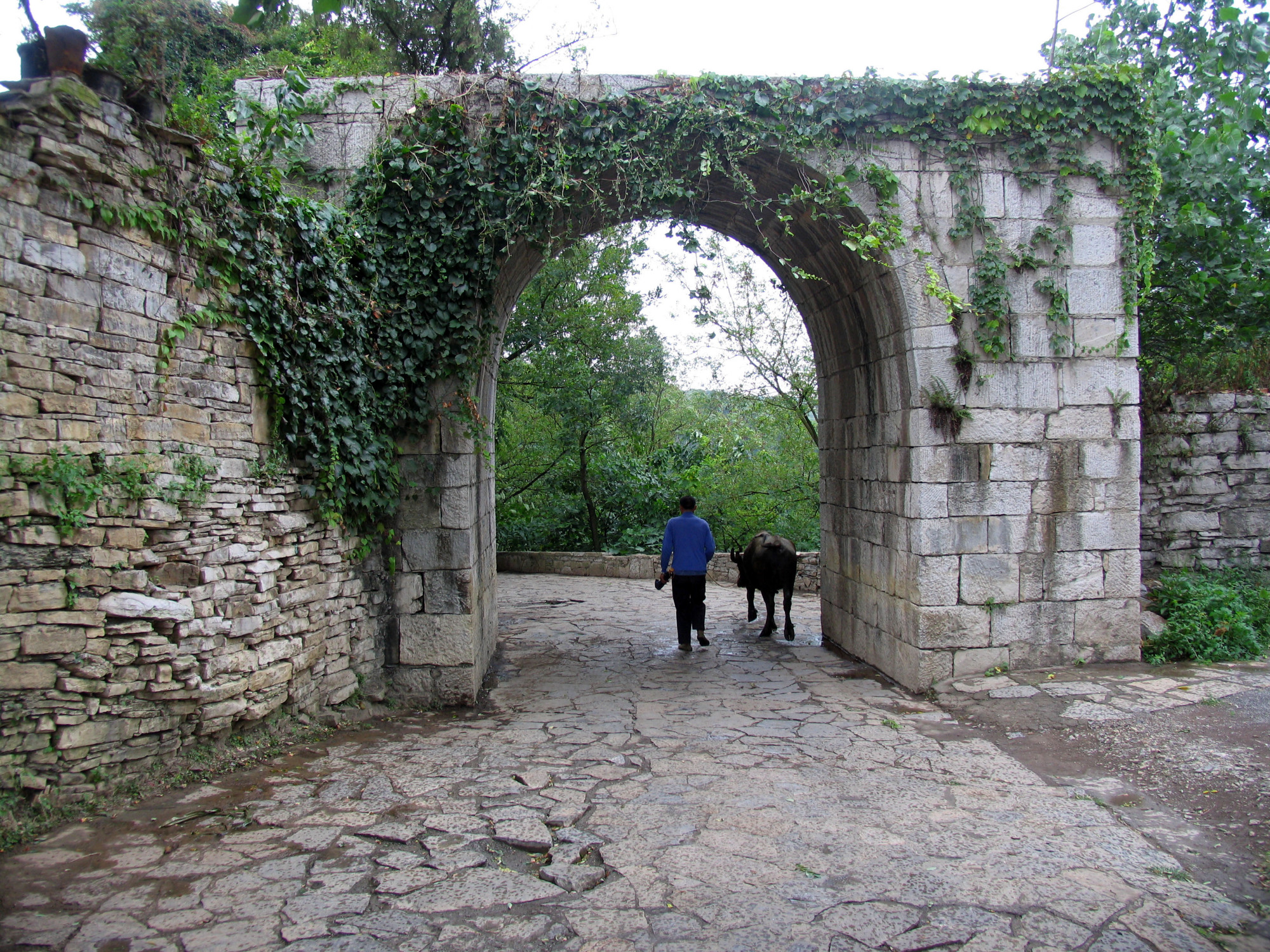 探访贵州镇山村