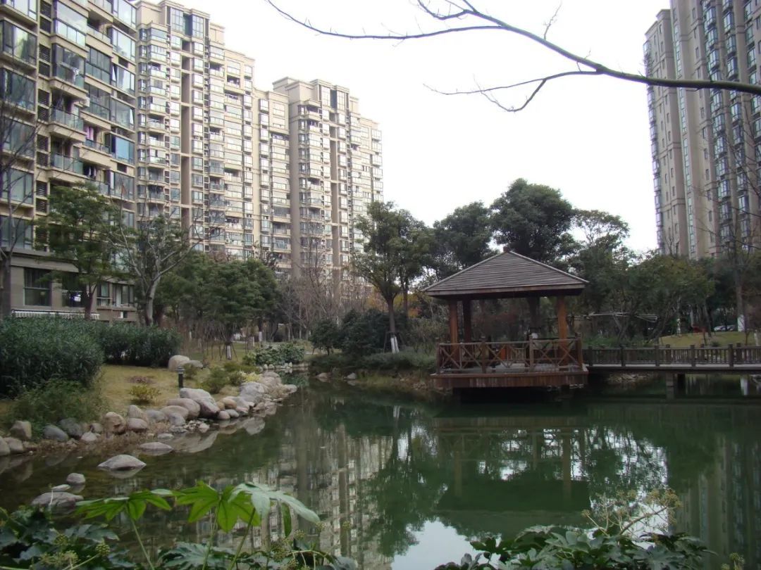 喜报!宝山又一镇获国家卫生乡镇(县城)称号