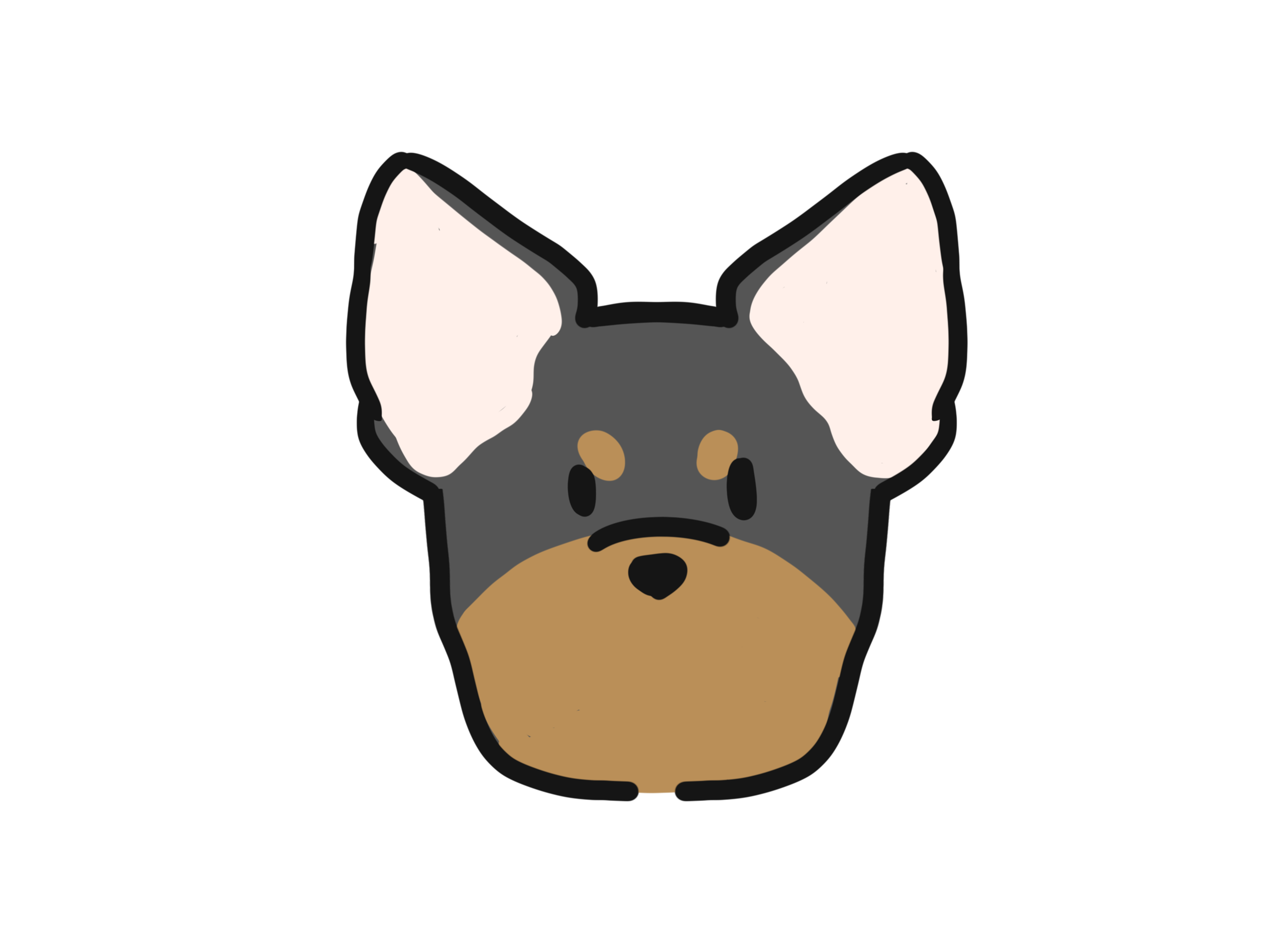 狗狗常见的10种"耳朵",你家狗是哪一种呢?