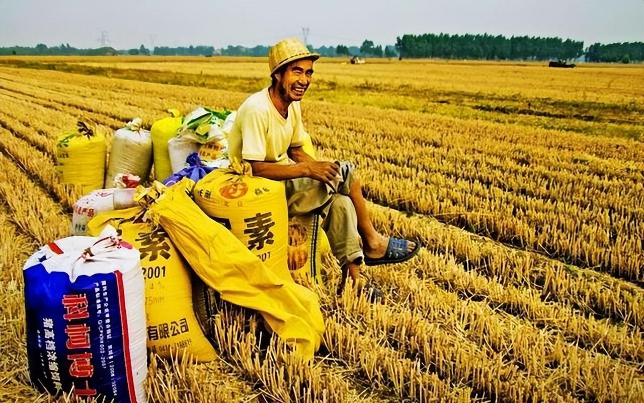 外人眼中的春池嫣韵背后却满是辛酸河南农民有多不容易