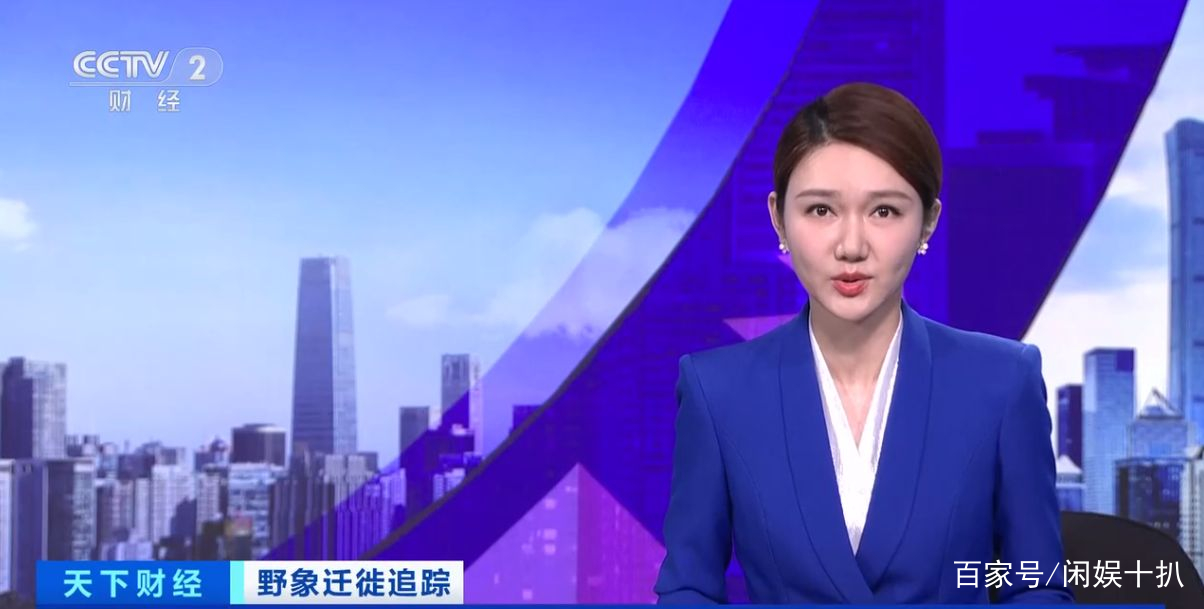 央视财经主持人龙洋(央视经济频道主持人龙洋的泳装)