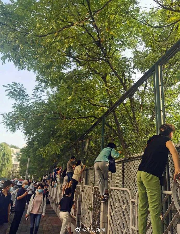 今天的校园围墙上,“长”满了家长