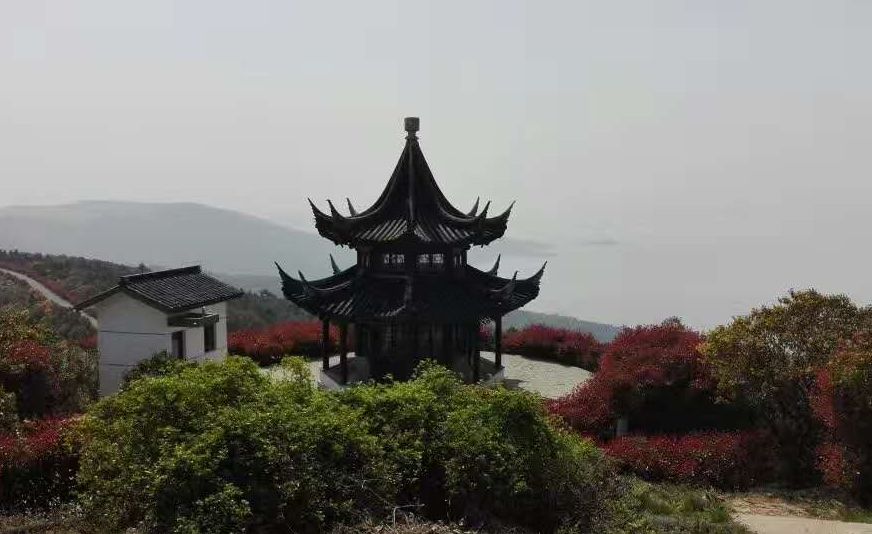 爱旅经常组织的市内登山路线,传说健康的人都去了这里