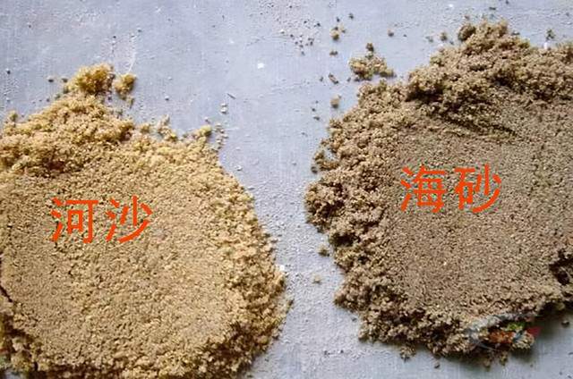 如何辨别海砂与河砂?砂石兄教这你六招!