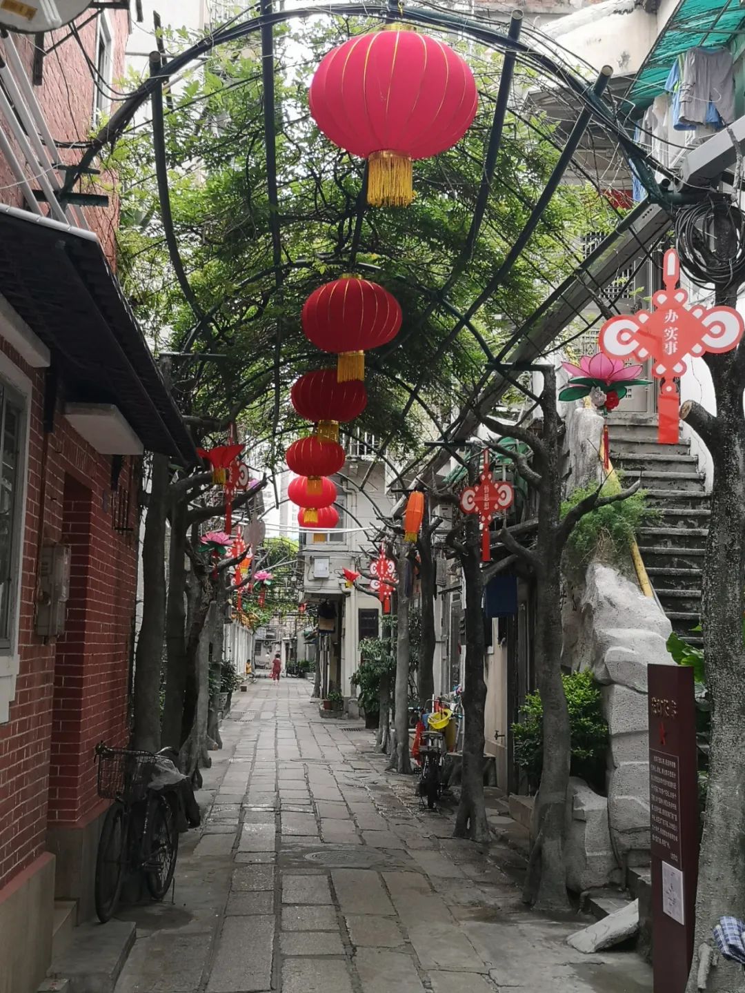 "老先进"焕发新活力!南华西街:开启"家门口"的党史研学之旅