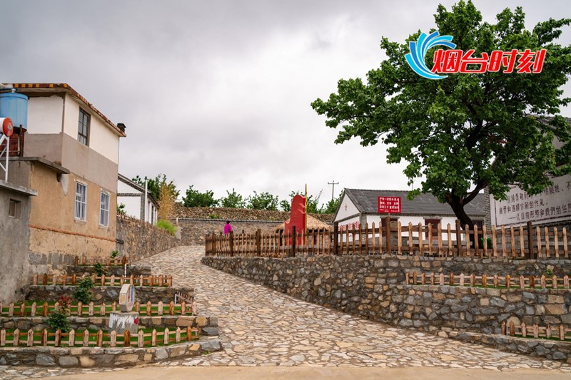 栖霞市衣家村:党支部引领下的富民强村路