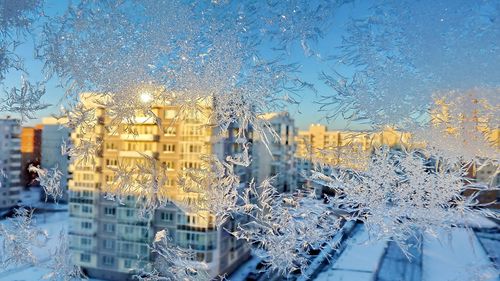 好看小说《南雪顾廷栖》孤影伴青灯免费