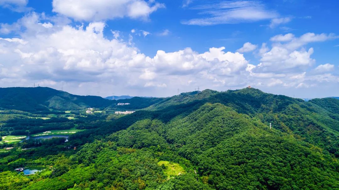 山外山发布业绩快报:营业总收入达3.82亿元,同比增长34.85%