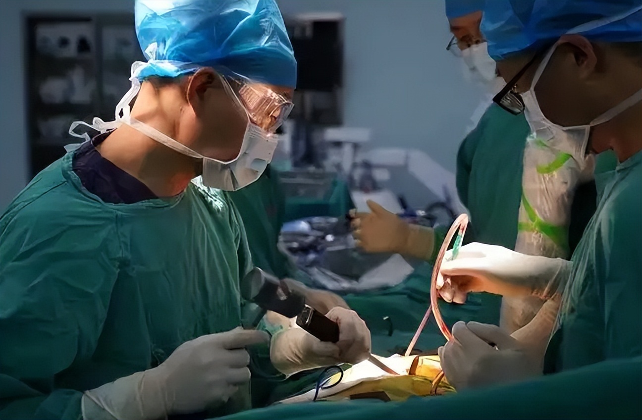 陈凡医生——雷公藤多甙供体预处理对致敏大鼠供心移植成活影响