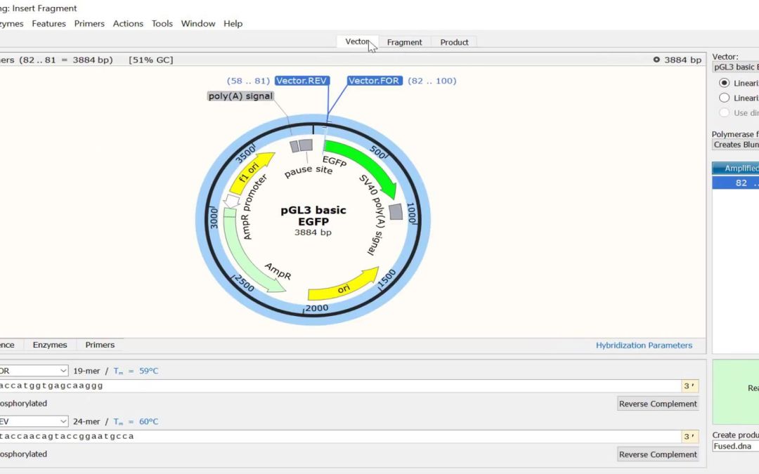 「DNA序列管理分析」SnapGene 软件下载安装