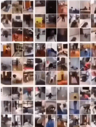 推荐大学生隔空上游泳课，动作像极了丧尸片！网友：这要是晚上，老师得害怕