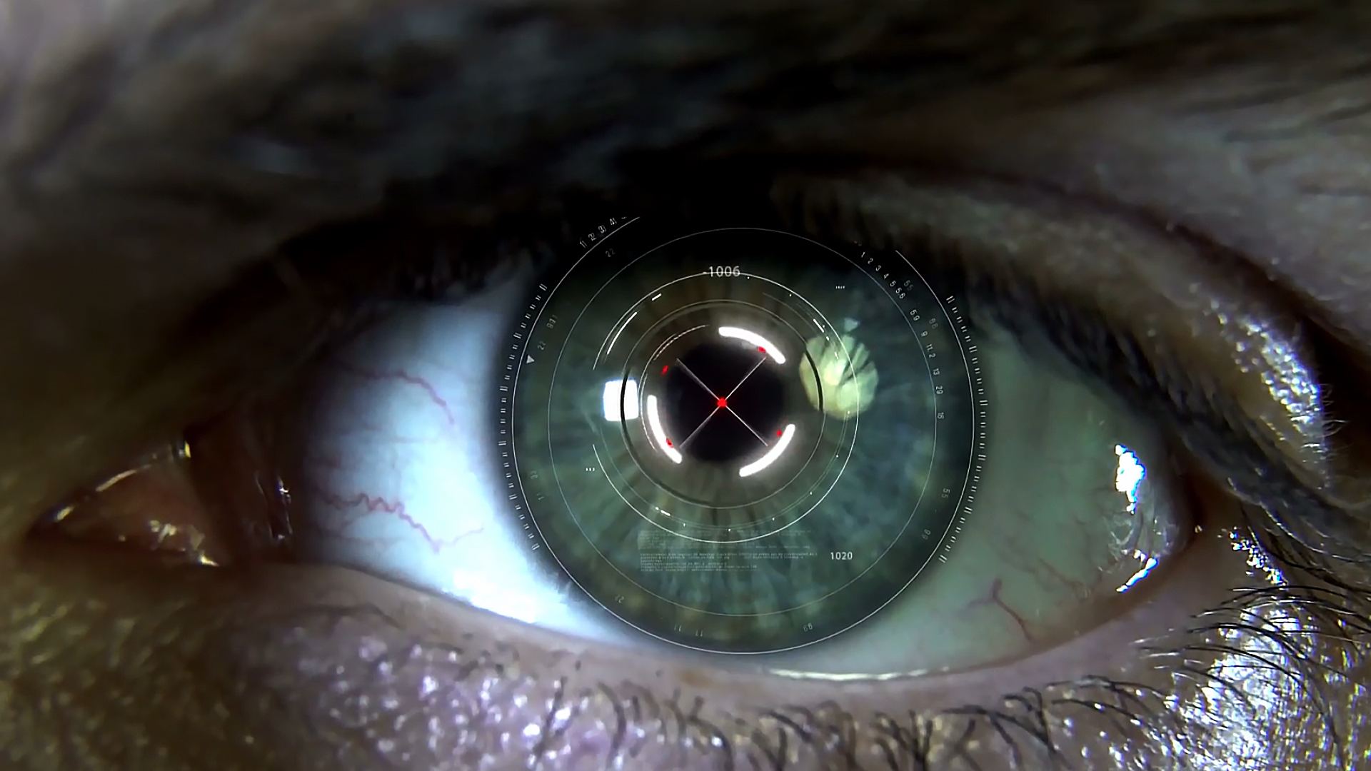 人眼像素高达5.76亿,占用大脑65%"内存",进化论真的能解释?