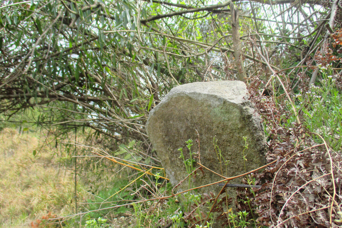 "坟头塌消子孙稀,坟上无草绝家资"指啥?快看看吧,别被笑话了