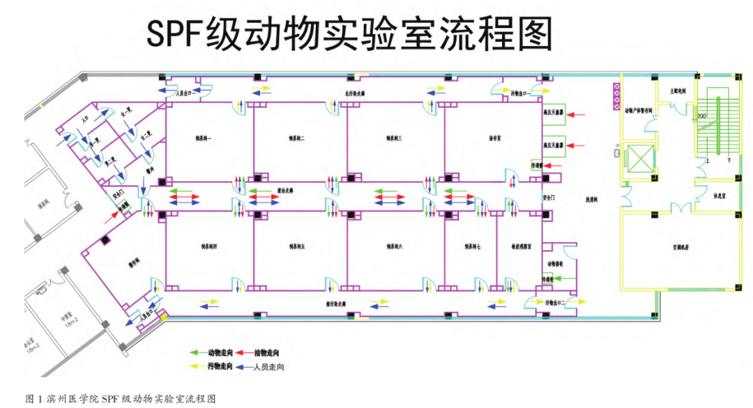 干货分享|spf级动物实验室运行管理的总结与探讨