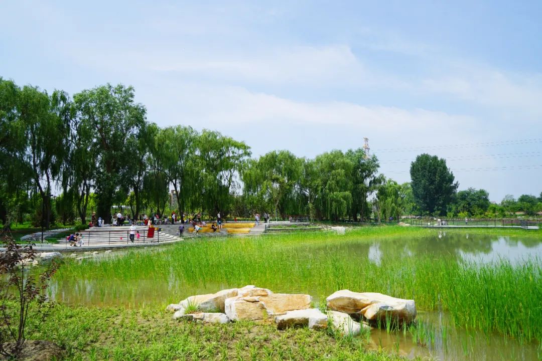 这也太美了吧!霍营公园承包您的整个夏天