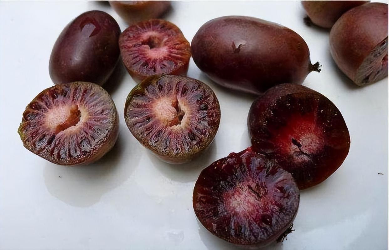 院里种植软枣果树,结的果子软甜多汁,好吃好养活,价值高易打理