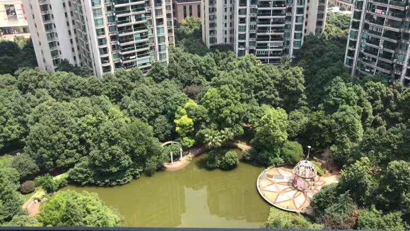 长沙芙蓉区法拍房子 长沙王府花园法拍房