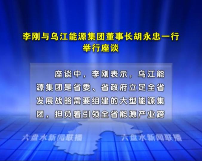 李刚与乌江能源集团董事长胡永忠一行举行座谈