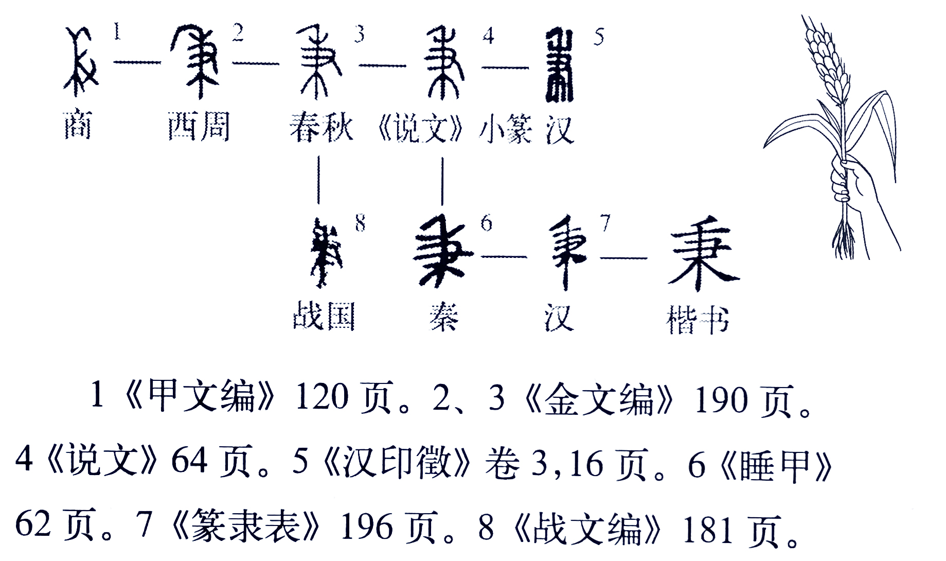 《说文解字》551课 细说秉字